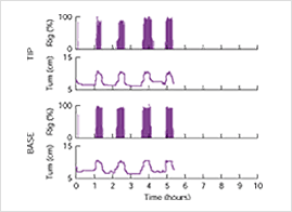 음경도플러검사-그래프